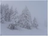 Kranjski Rak - Kapela Marije Snežne (Velika planina)